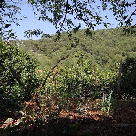 Apartament Seaside Secluded Cove Smokvina, Hvar - 4036 Bogomolje