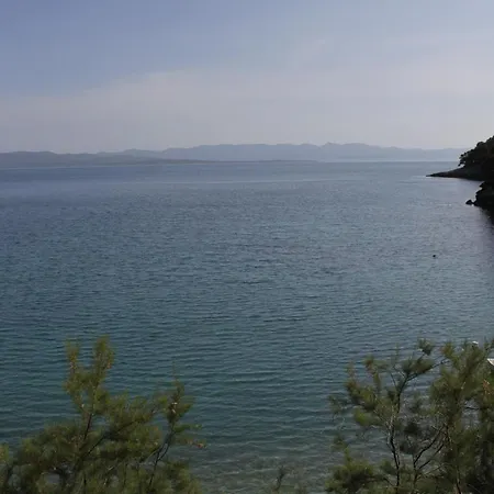 Seaside Secluded Cove Smokvina, Hvar - 4036 Bogomolje